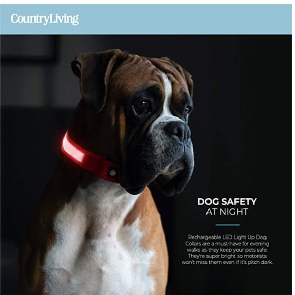 Country Living by Silver Paw Light Up Dog Collars, LED USB Rechargeable Dog Coll - Picture 3 of 4